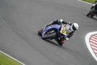 anglesey;brands-hatch;cadwell-park;croft;donington-park;enduro-digital-images;event-digital-images;eventdigitalimages;mallory;no-limits;oulton-park;peter-wileman-photography;racing-digital-images;silverstone;snetterton;trackday-digital-images;trackday-photos;vmcc-banbury-run;welsh-2-day-enduro